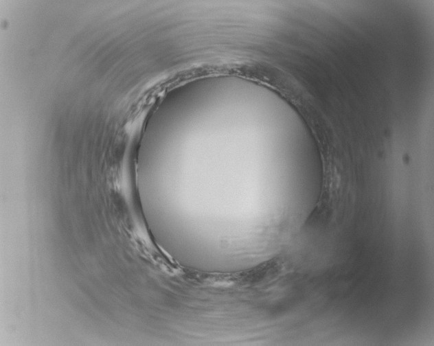 X0000051250773200507152148