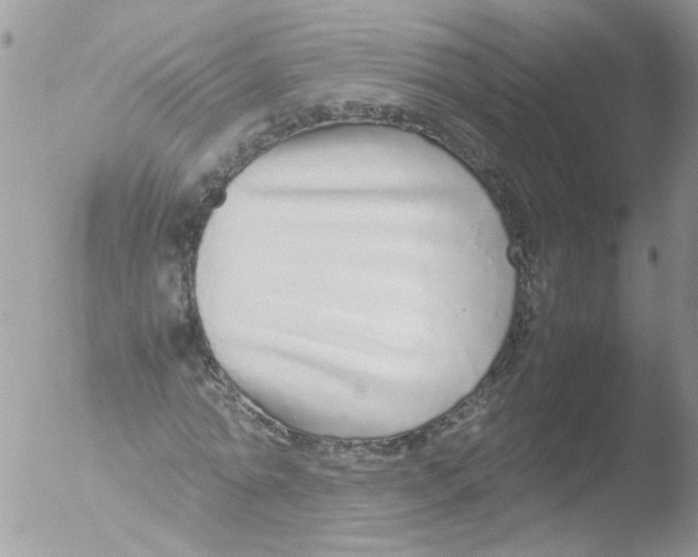 X0000051250774200507152148