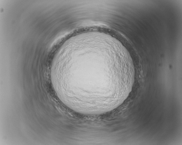 X0000051250775200507152148