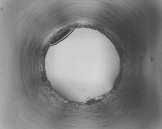 X0000051250776200507152148