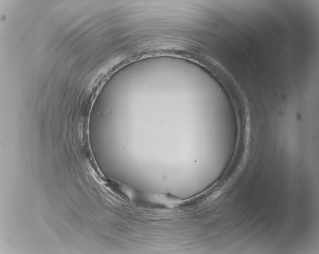 X0000051250777200507152148