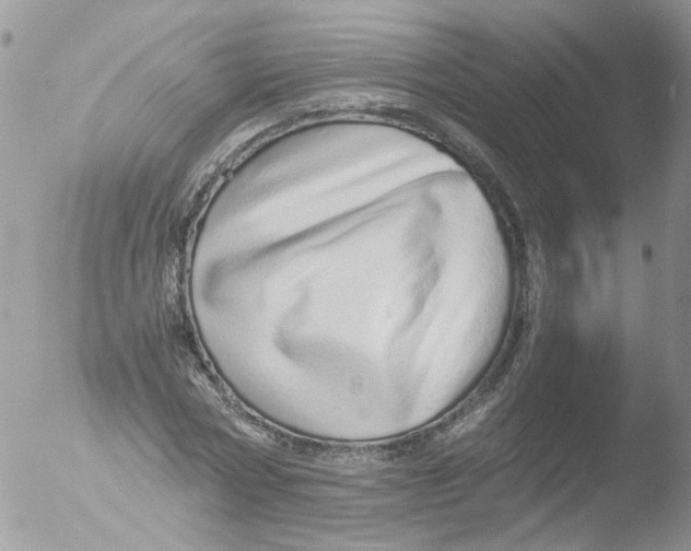 X0000051250778200507152148