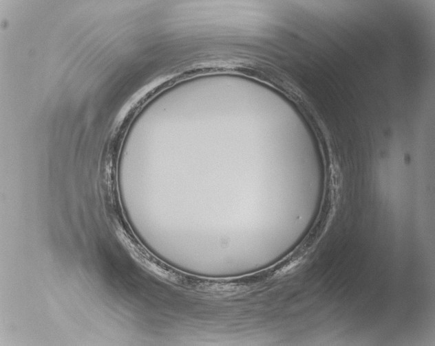 X0000051250779200507152148