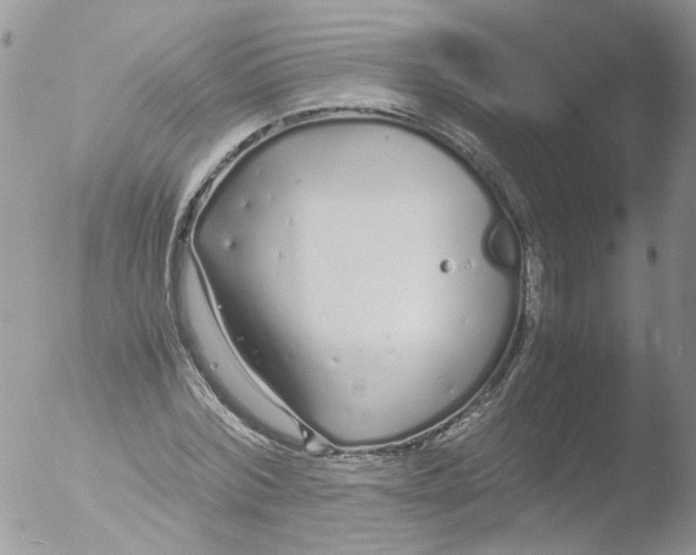 X0000051250780200507152148