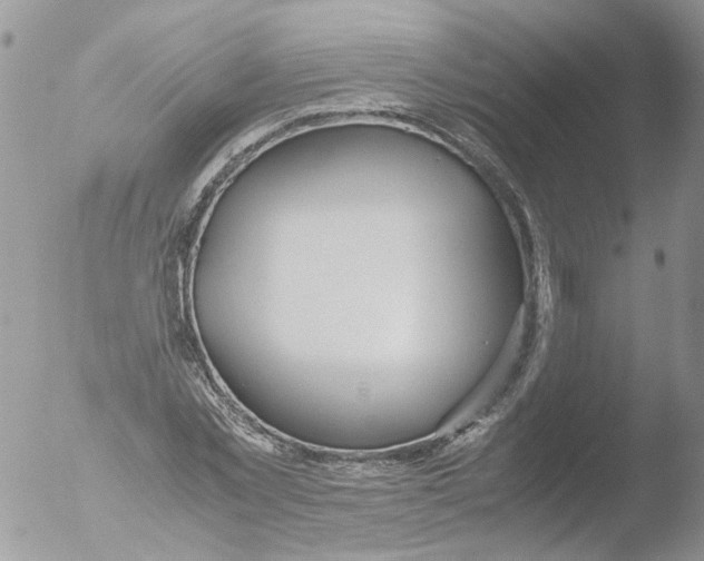 X0000051250781200507152148