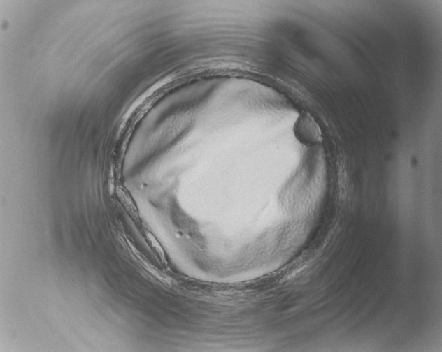 X0000051250782200507152148