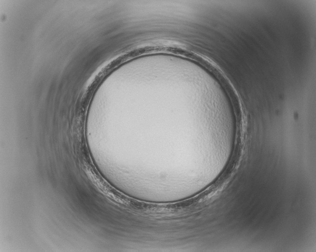 X0000051250783200507152148