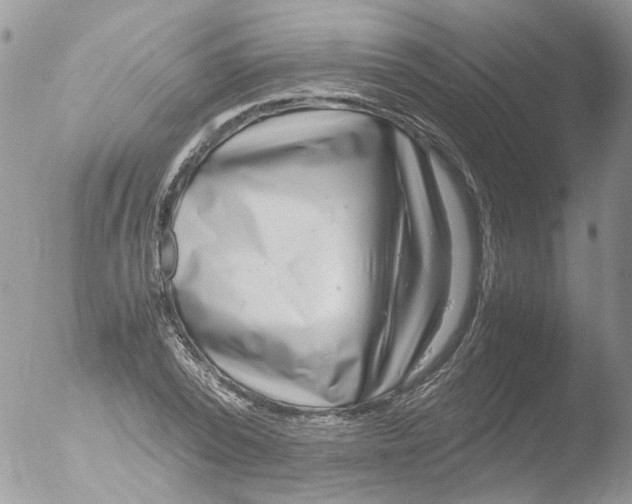 X0000051250784200507152148