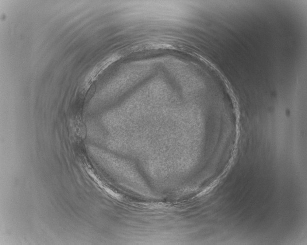 X0000051250785200507152148