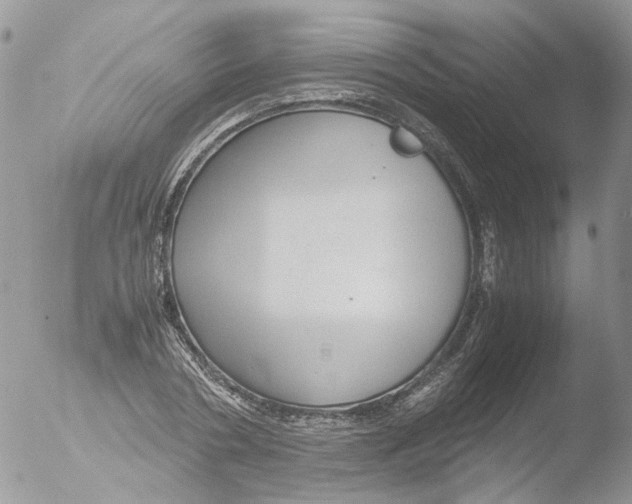 X0000051250786200507152148