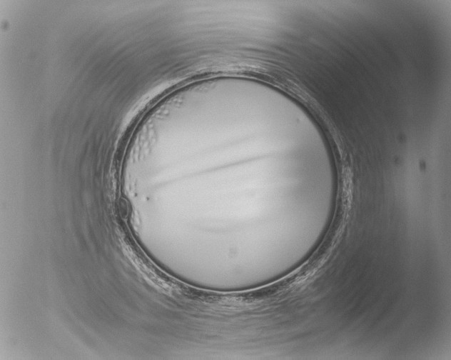 X0000051250787200507152148