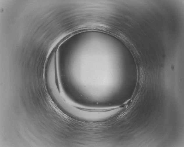 X0000051250788200507152148