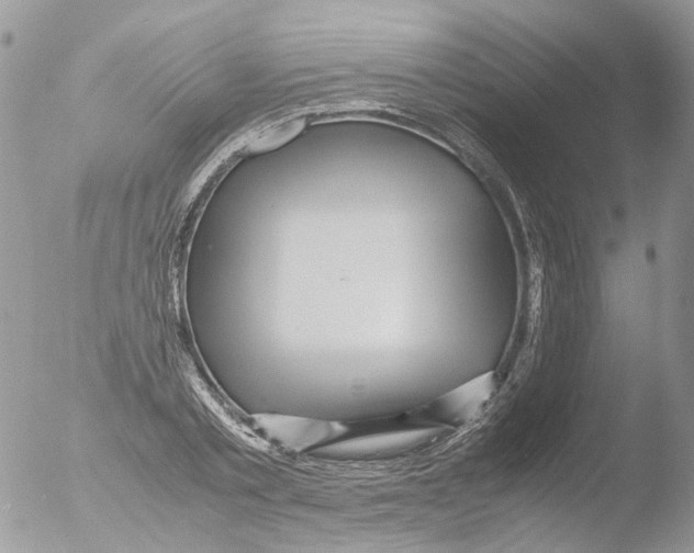 X0000051250789200507152148