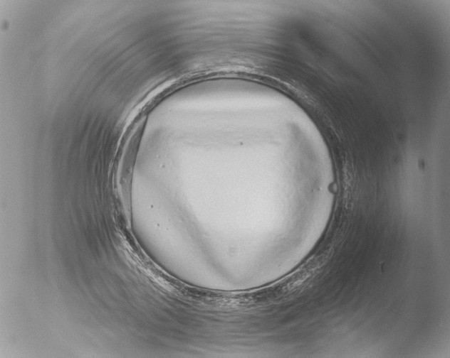 X0000051250790200507152148