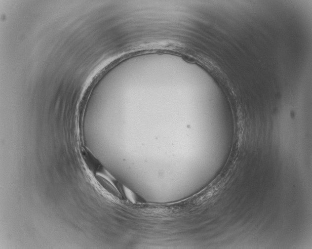 X0000051250792200507152148