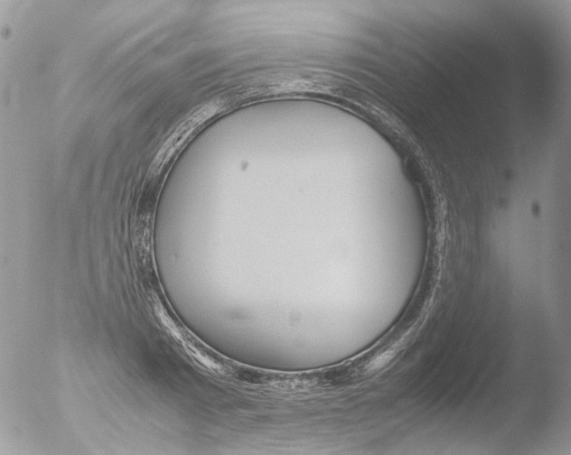 X0000051250793200507152148