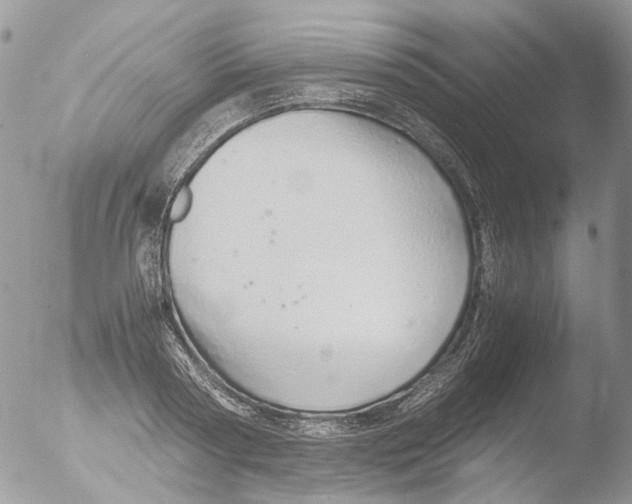 X0000051250794200507152148