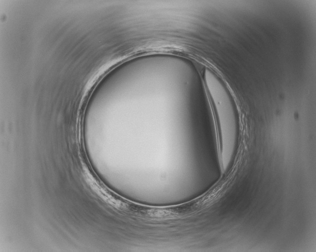 X0000051250795200507152148