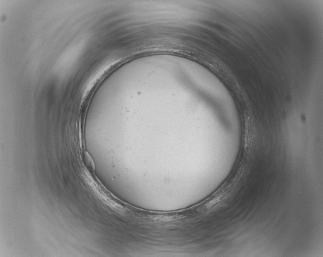 X0000051250796200507152148