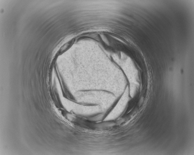 X0000051250797200507152148