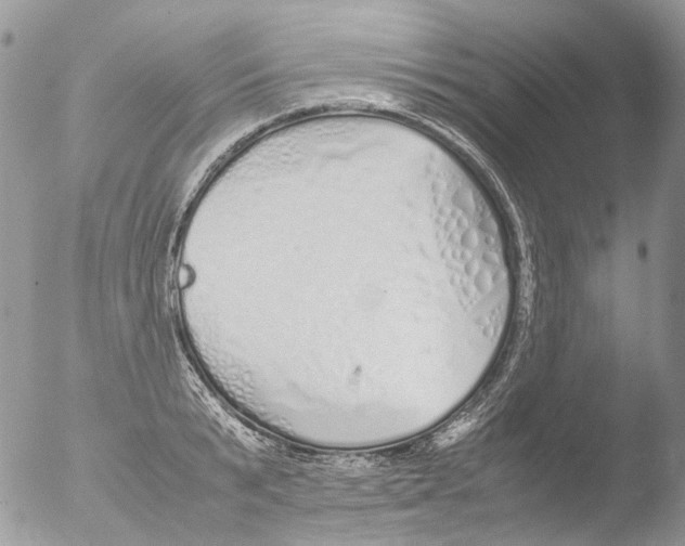 X0000051250799200507152148