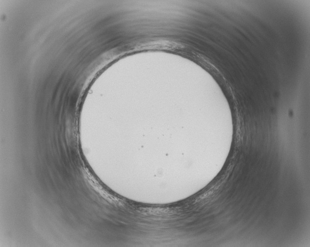 X0000051250800200507152148