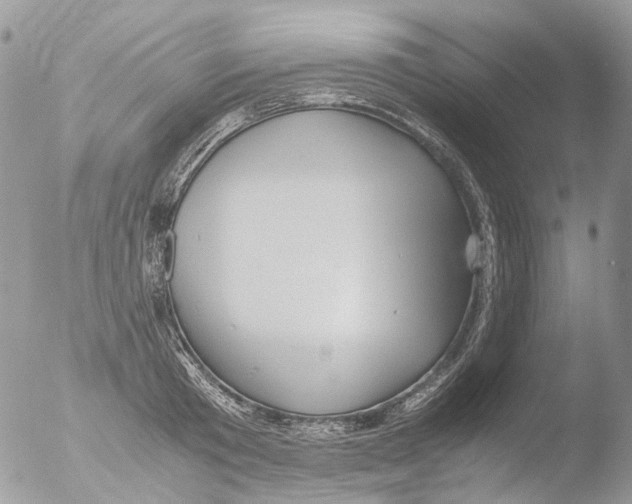 X0000051250801200507152148