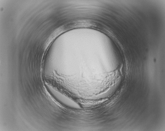 X0000051250802200507152148