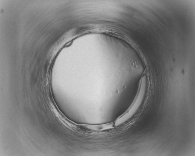 X0000051250803200507152148