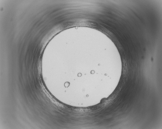 X0000051250804200507152148