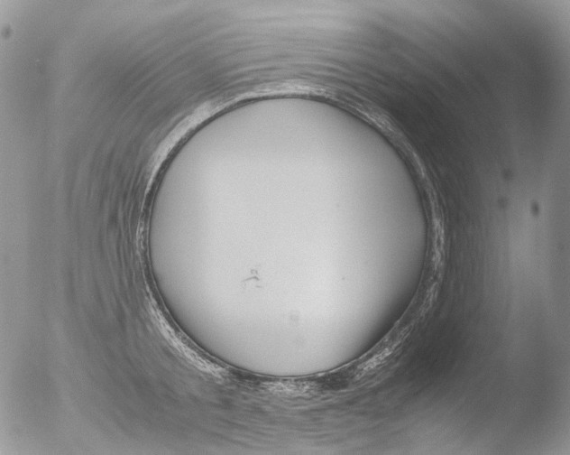 X0000051250805200507152148