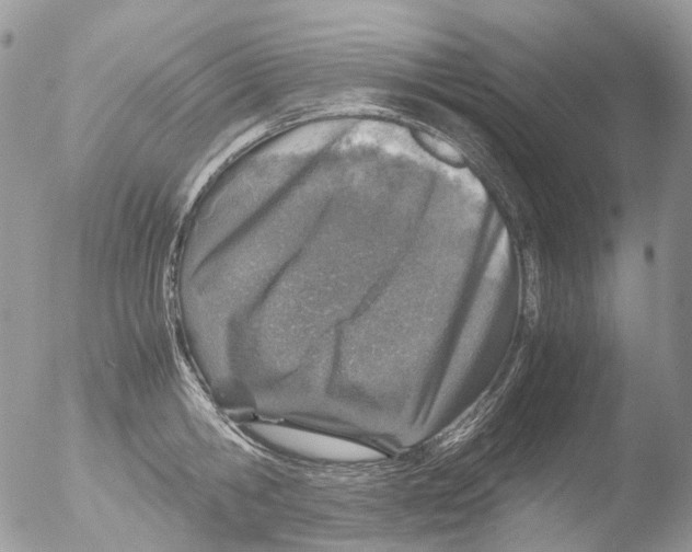 X0000051250806200507152148