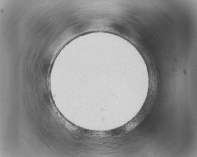 X0000051250807200507152148