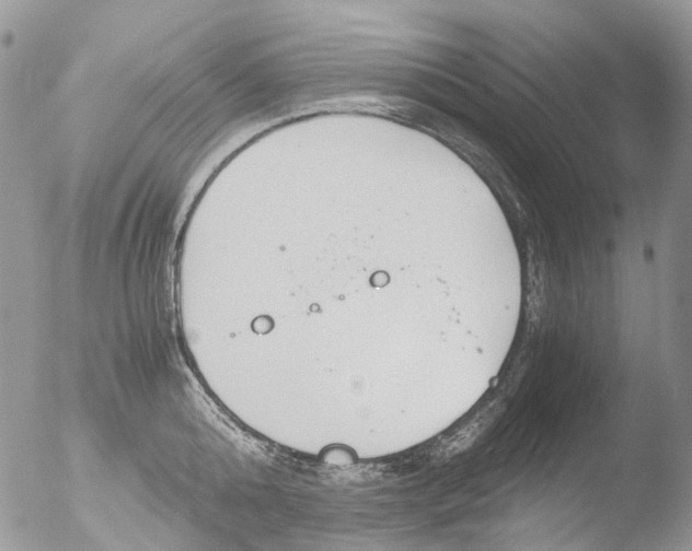 X0000051250808200507152148