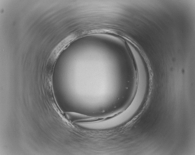 X0000051250809200507152148