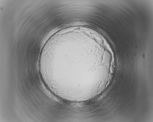 X0000051250810200507152148