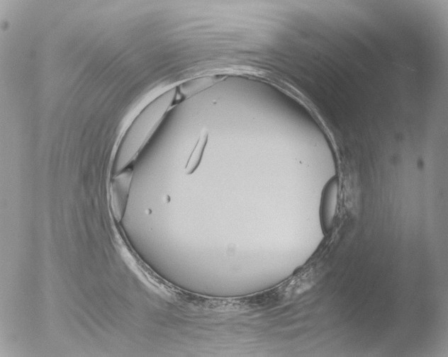 X0000051250811200507152148