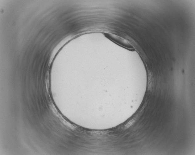 X0000051250812200507152148