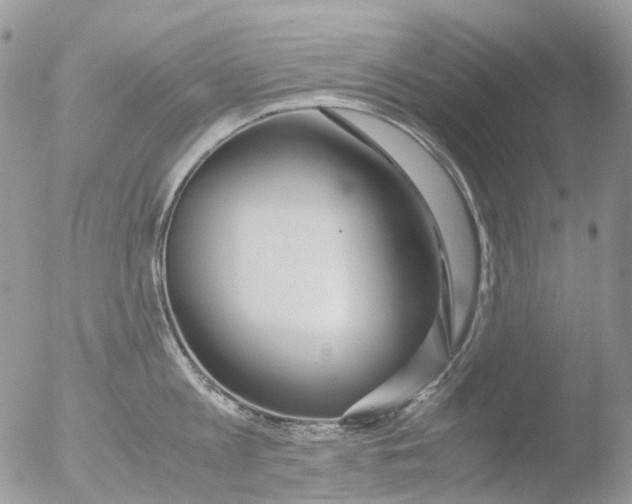 X0000051250813200507152148