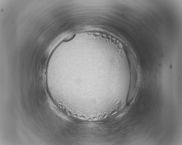 X0000051250814200507152148