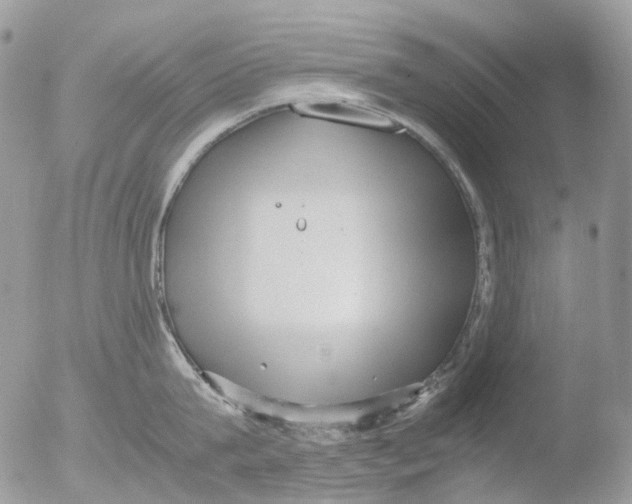 X0000051250815200507152148