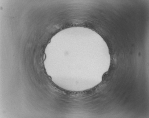 X0000051250817200507152147