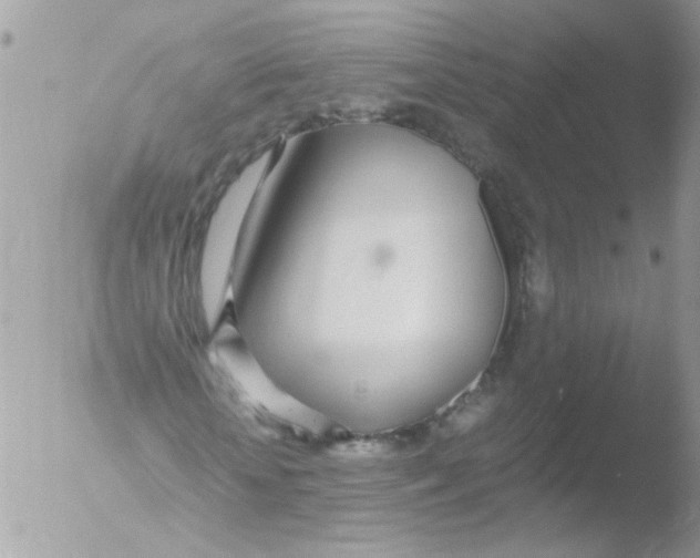 X0000051250818200507152147