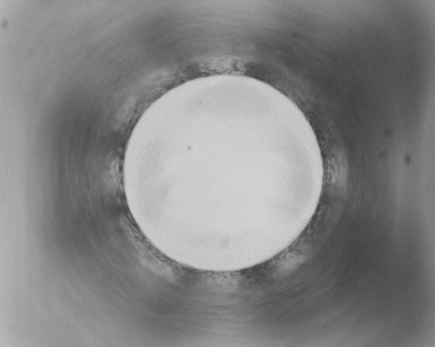 X0000051250820200507152147