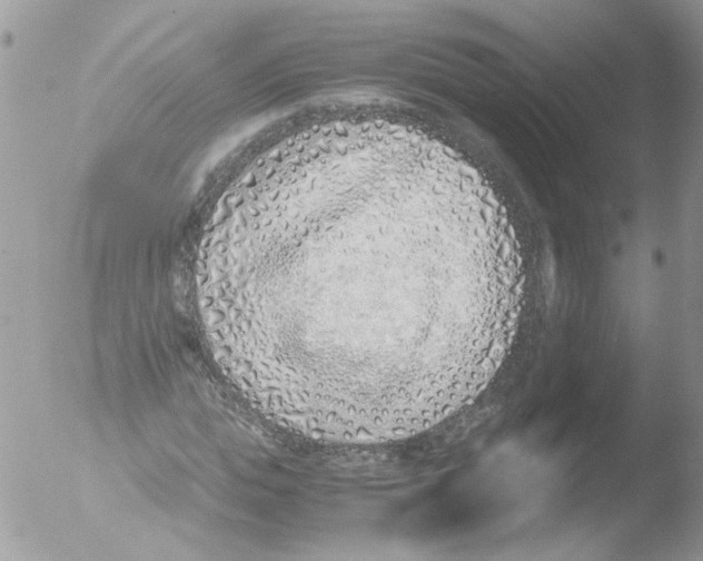 X0000051250823200507152147