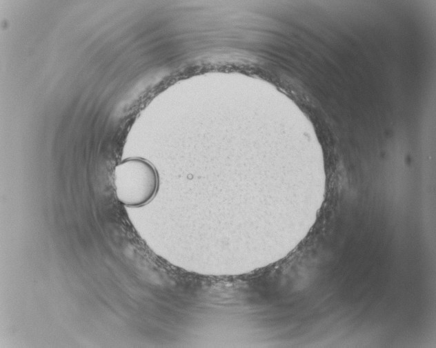 X0000051250824200507152147