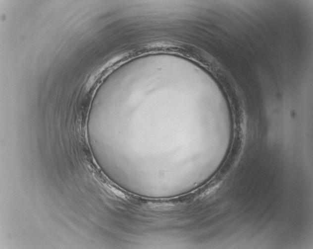 X0000051250825200507152147