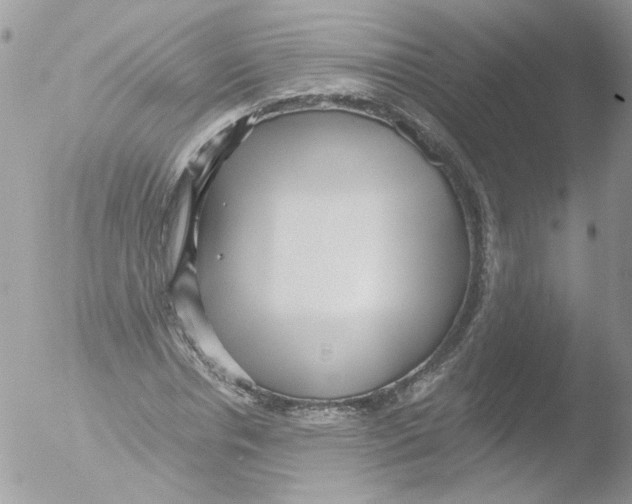 X0000051250826200507152147