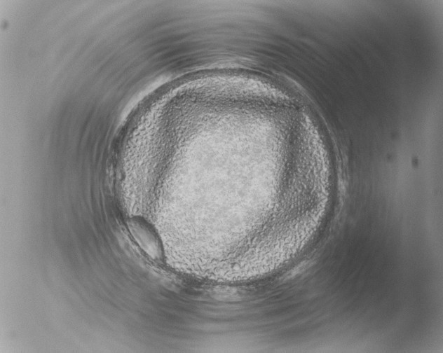 X0000051250827200507152147