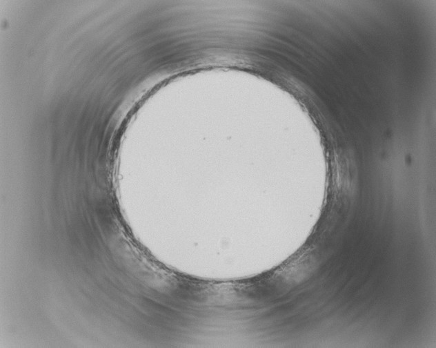 X0000051250828200507152147